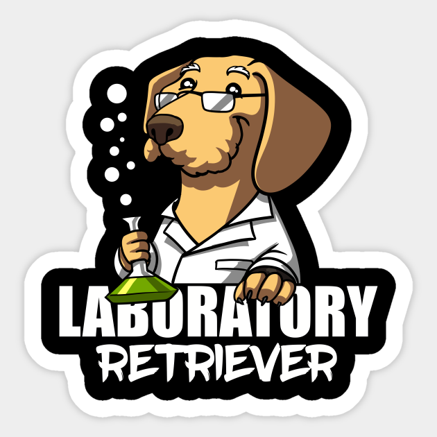 Science Chemistry Laboratory Dog Teacher Labrador Retriever Chemistry